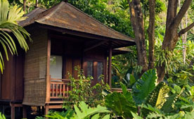 corbett national park tour package