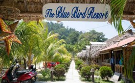 corbett national park tour package