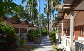 corbett national park tour package