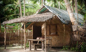 corbett national park tour package