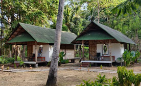 corbett national park tour package