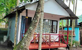 corbett national park tour package